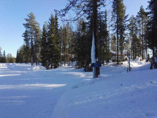 Kero 15, Syöte (Foto 4)