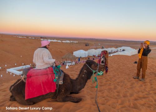 Sahara Desert Luxury Camp