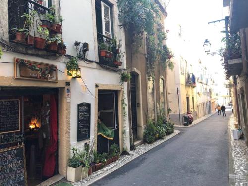 Perfect Historic Center Apartment - image 14