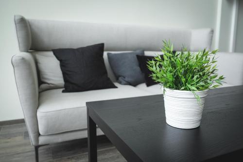 Bella apartments&room