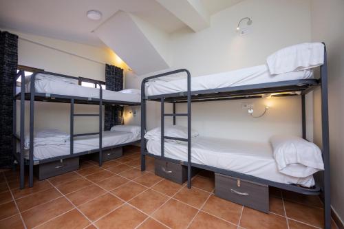 Bed in 4-Bed Mixed Dormitory Room