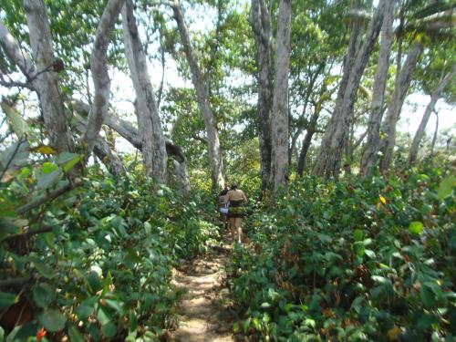 Apartamento en BalaBeach María Chiquita in front of the beach 2hab