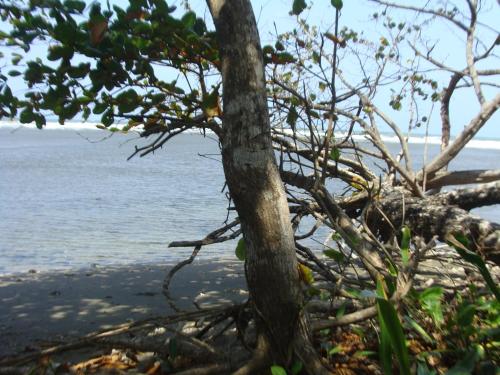Apartamento en BalaBeach María Chiquita in front of the beach 2hab