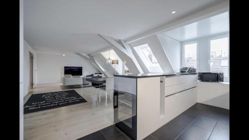 Luxury Penthouse Apartment, Zurich (photo 9)