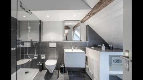 Luxury Penthouse Apartment, Zurich (photo 11)