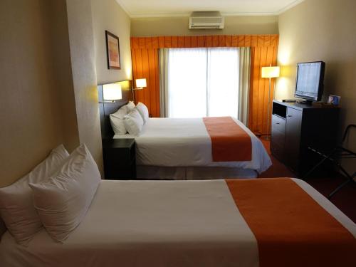 Standard Triple Room image 4