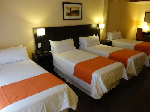 Standard Quadruple Room image 2