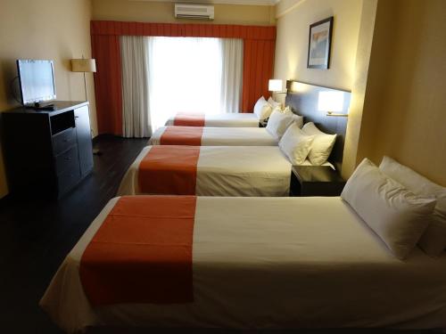Standard Quadruple Room image 1