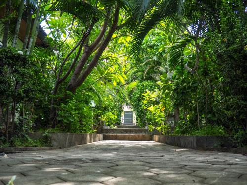 حديقة, Scuba Tribe Bali dive-resort in تولامبن