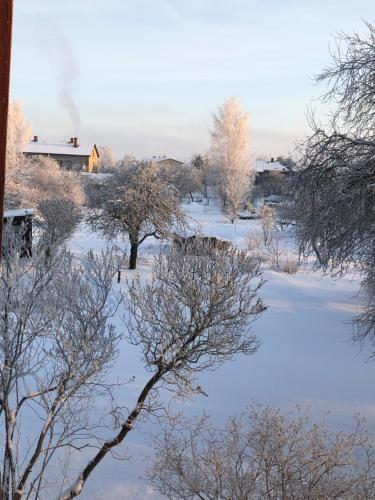 Skrunda Apartments Elandrum