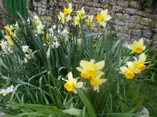 Ferme Manoir La Fiere chambre d'hôte Barfleur