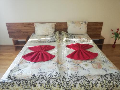 Hotel Touristic Home Kailaka - image 9