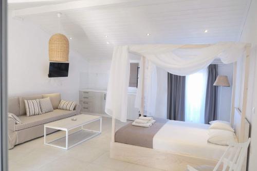 Studio Theano - image 5