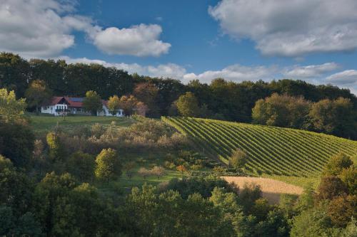Weinbergstöckl Gombotz (Weinbergstockl Gombotz) in Neuhaus Am Klausenbach
