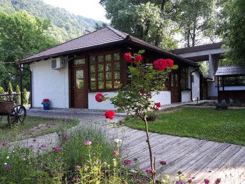 ATRIUM Holiday home - main image