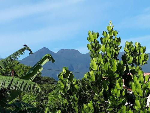 View, Le studio de Jeannine in Capesterre-Belle-Eau