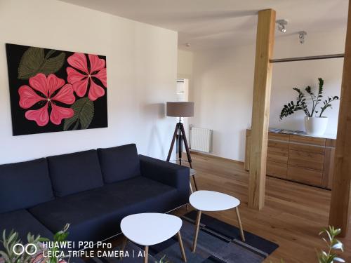 Luxuriöse Ferienwohnung im Herzen des Sauerlandes - Apartment - Meschede