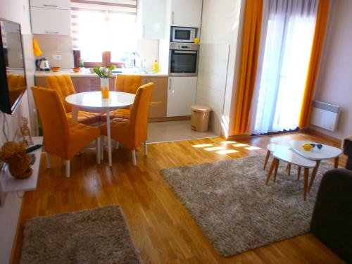 Apartman Radojević Vila Darija - image 6