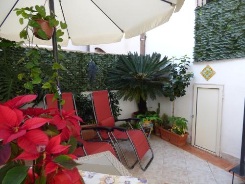 Casa Sicana, Palermo (fotografie 6)