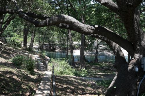 River Bluff Cabins