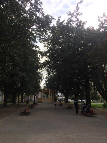  Pink Tiffany OPorto in Porto
