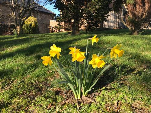 Riding Farm - image 3