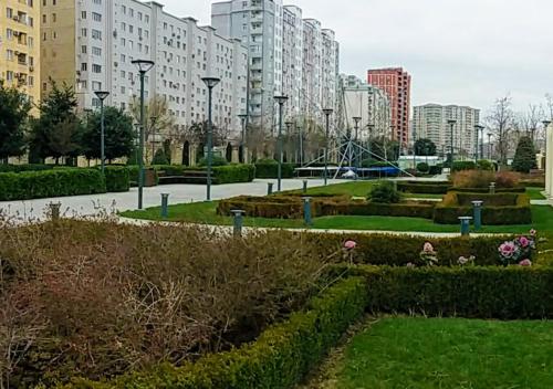 Cozy apartment near big park