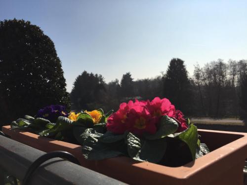  La Terrazza sul Naviglio B&B in Bernate Ticino