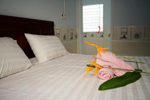 Bai Huong homestay, Hoi An (photo 6)