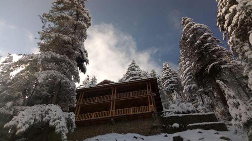 Kudrat - A Boutique Homestay- Tirthan Valley