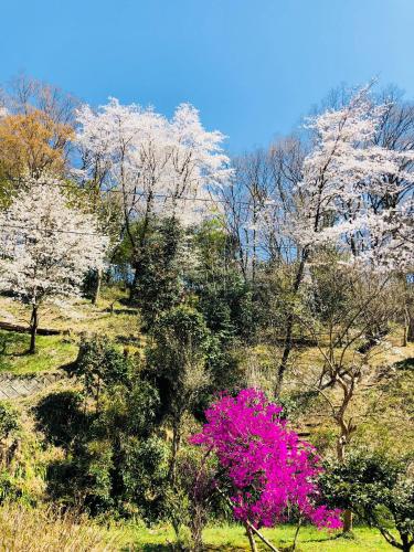 瀧澤禅寺 宿坊デラックススイート