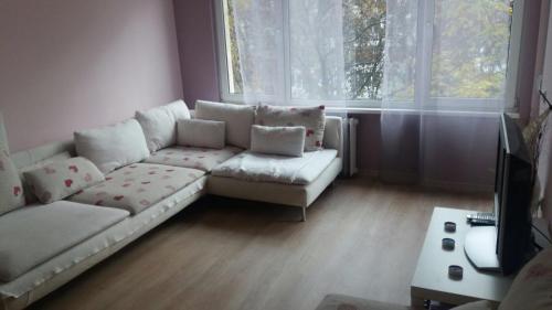 Cosy place close to the Center, Sofia (Foto 5)