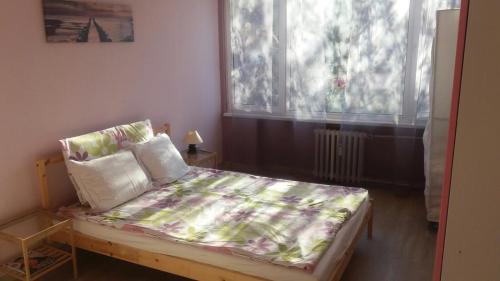Cosy place close to the Center, Sofia