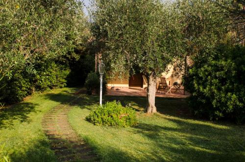 Agriturismo Il Melograno di Banditella