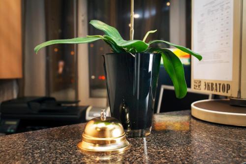 Equator Hotel - image 12