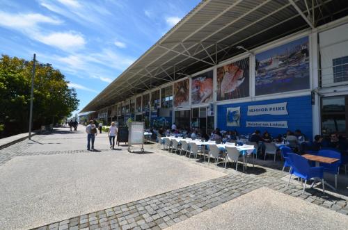 Expo Marina Lis - image 2