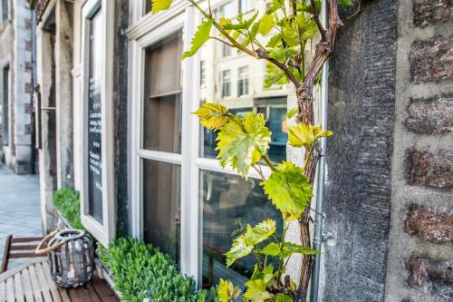 Exterior view, B&B Gracht 62 in Statenkwartier