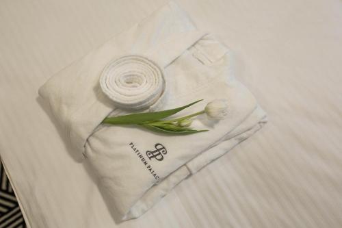 Platinum Palace Residence Boutique Hotel - image 7