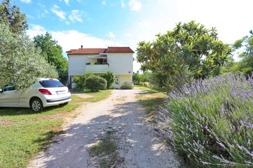 Apartments Romansa