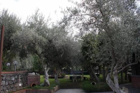 Hotels Image