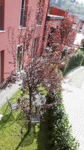 Residenza XX Settembre - Apartment - Maslianico