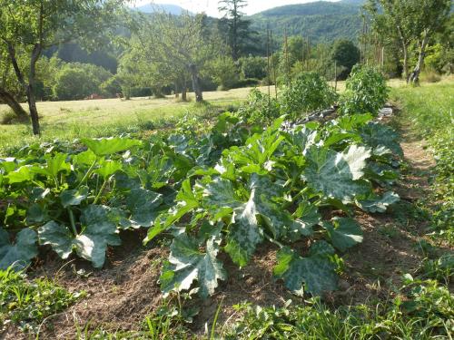 Domaine Lou Cevenol