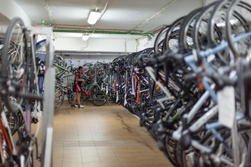 Hotel Timor - image 9