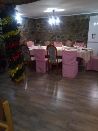 virtuve, Casa Sviniceană (Casa Sviniceana) in Svinita