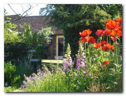 Ivy Cottage Barn Annex