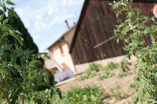 Ferme Typique Alsacienne