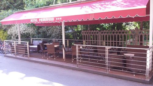 Primavera - image 5