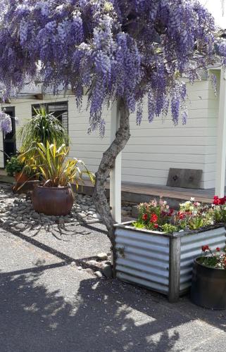 Rural Palms in เปเฮีย