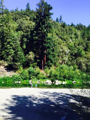 Redwoods River Resort & Campground