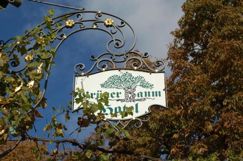 Hotel Grüner Baum